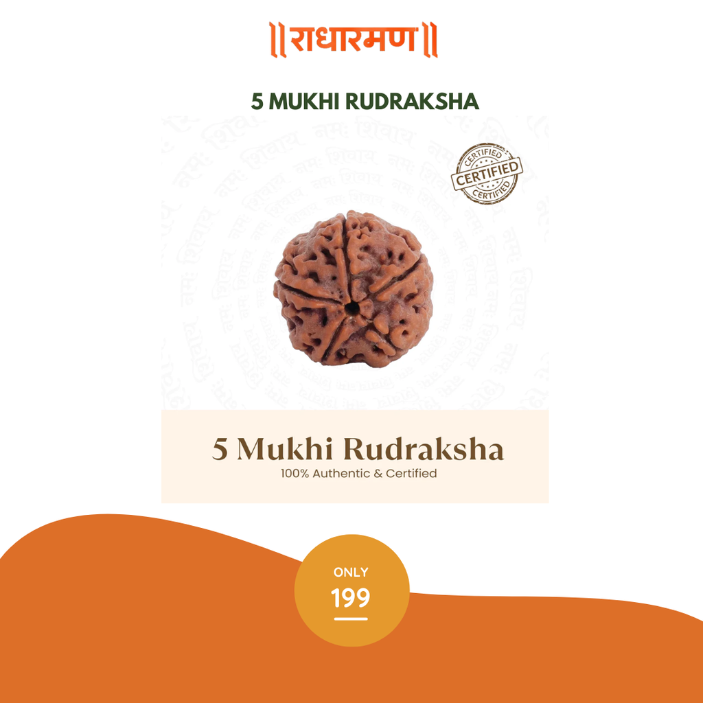 5 Mukhi Rudraksha – 100% Authentic & Certified